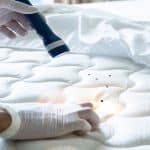 Eco-friendly bed bug control service
